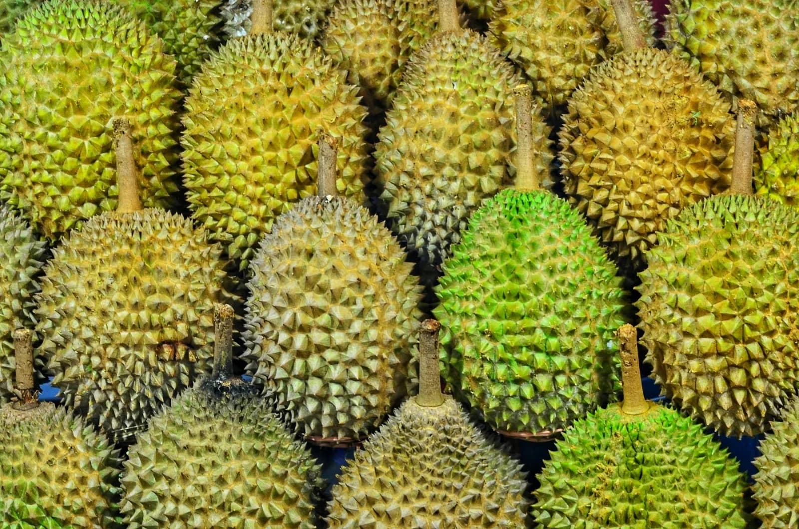 Durian crop